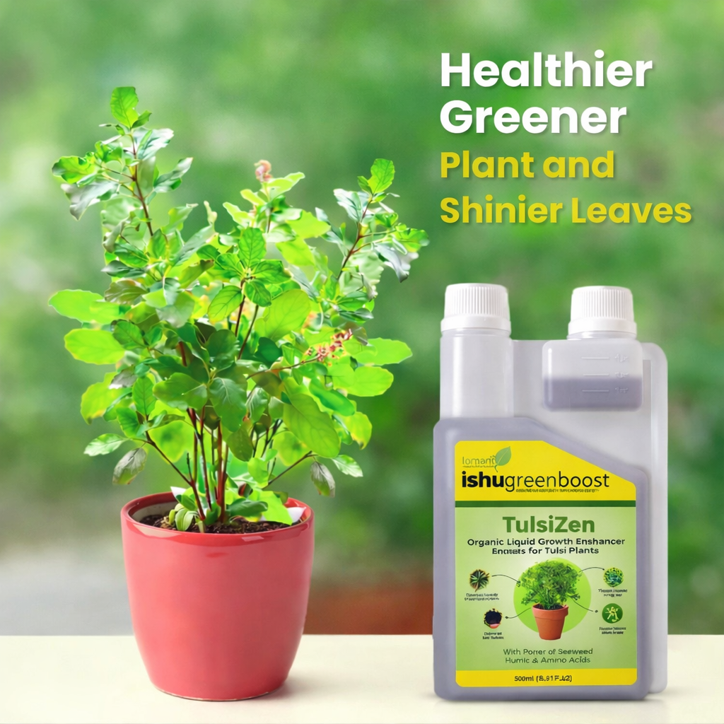 Ishu Green Boost - TulsiZen